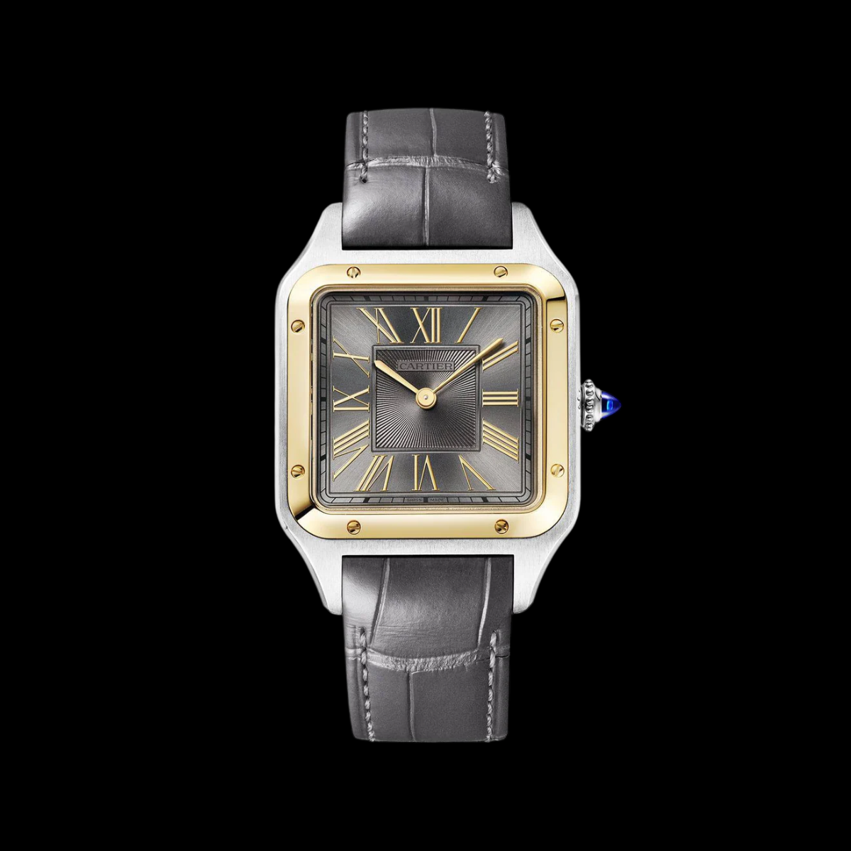 Cartier Santos-Dumont case profile