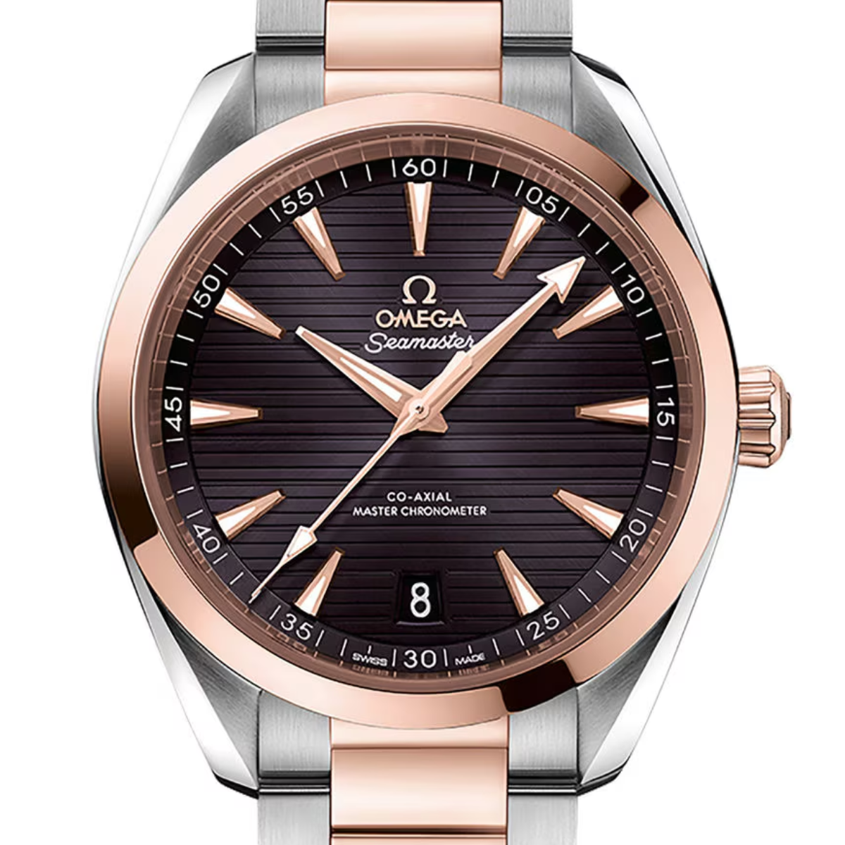 Omega Aqua Terra watch