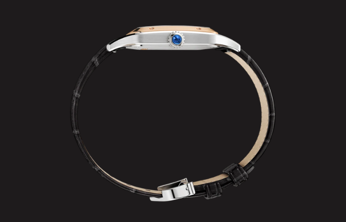 Cartier Santos-Dumont wrist detail