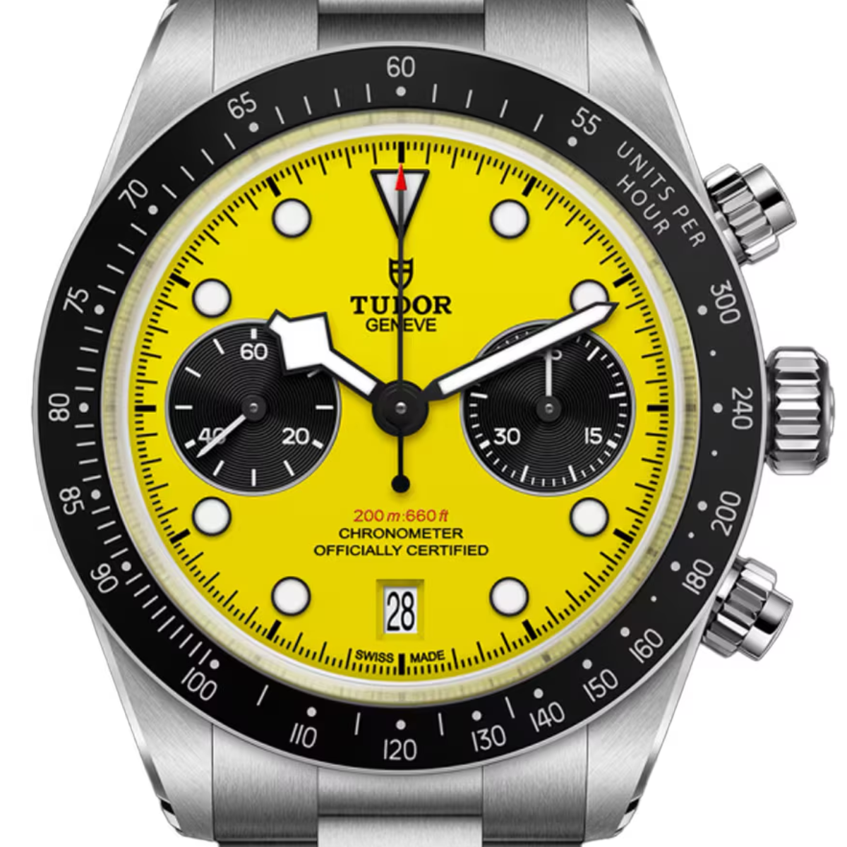 Tudor Black Bay