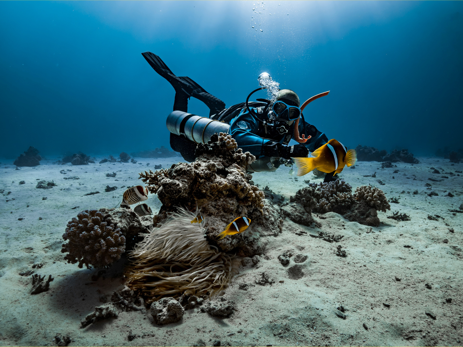 Dive watch detail
